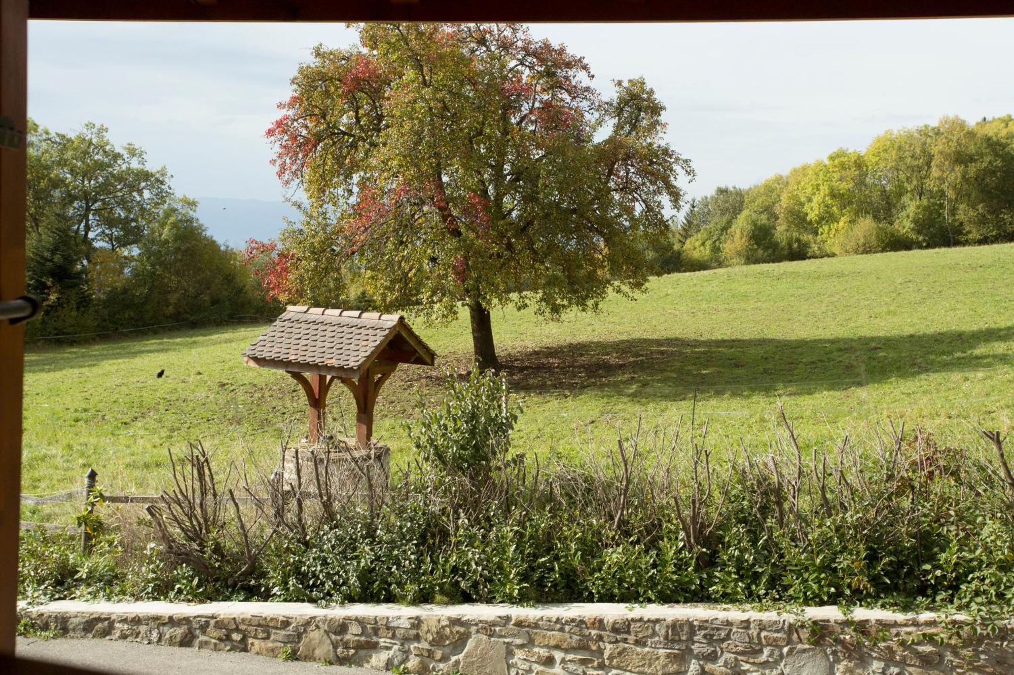 Le Bonheur Dans Le Pre Hotel Lucinges ภายนอก รูปภาพ